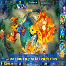 cachorro portal zacarias